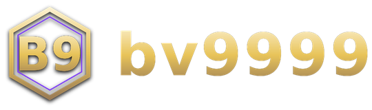 bv9999 logo
